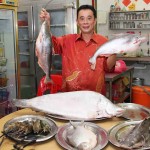 100% WILD RIVER FISH AND RIVER PRAWN FROM SUNGAI LIPIS PAHANG